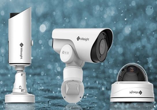 milesight news